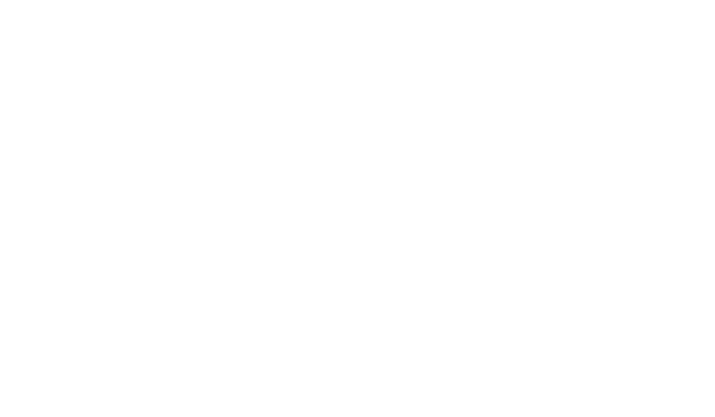 GeminiAuto